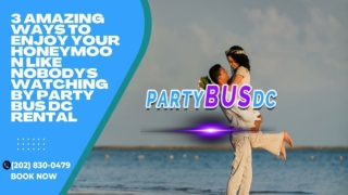 3 Amazing Ways to Enjoy Your Honeymoon Like Nobody's Watching by Party Bus DC Rental