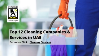 Top 12 Cleaning Companies & Services in UAE