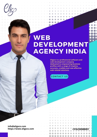What does web development agency do?