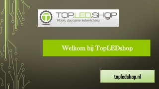 Top 5 Dimmers voor LED Verlichting om te kopen