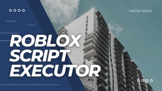 Roblox script executor