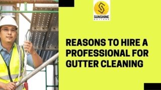 REASONS TO HIRE A PROFESSIONAL FOR GUTTER CLEANING