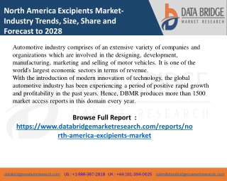 North America Excipients Market
