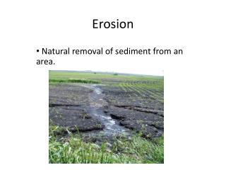 erosion river bank ppt powerpoint presentation sediment