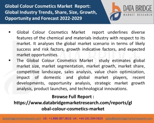 Global Colour Cosmetics Market  pdf