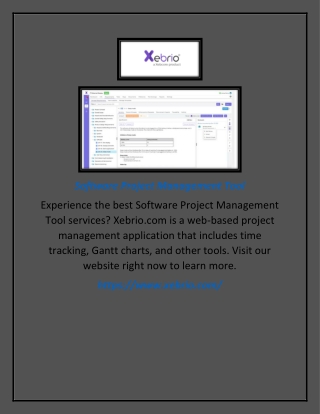 Software Project Management Tool