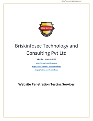 Website Penetration Testing Services