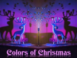 Christmas Colors (1) - Pink / Purple / Red