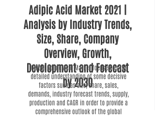 Adipic Acid Market 2021 | Analysis by Industry Trends, Size, Share, Company Overview, Growth, Development and Forecast b