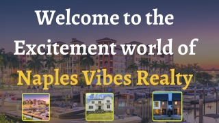 Best Property Management Agency In Florida - Naples Vibe Realty