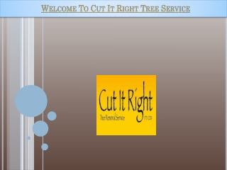 Tree Removal Services In Mt Eliza | Cut It Right Tree Service Pty Ltd