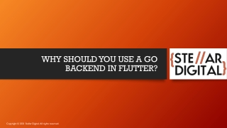 WHY SHOULD YOU USE A GO BACKEND IN FLUTTER