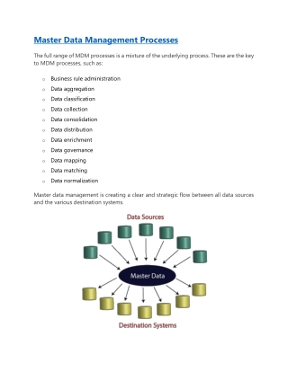 Master Data Management Processes