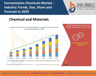 Fermentation Chemicals Market Growth, Trends And Forecast including covid19 Impact