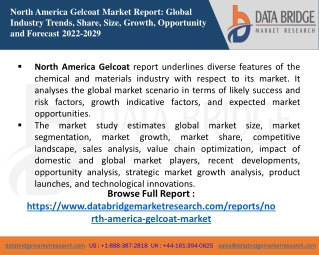 North America Gelcoat Market Trends