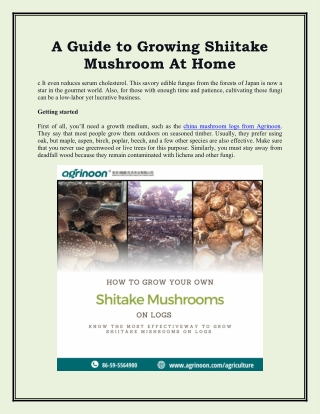 A Guide to Growing Shiitake Mushroom At Home