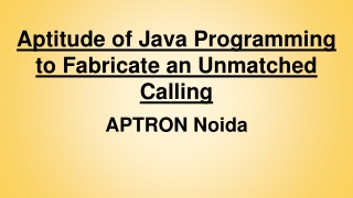 Aptitude of Java Programming to Fabricate an Unmatched Calling