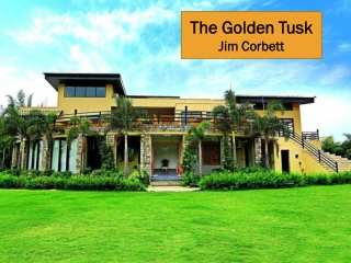 Corporate Team Outing in Jim Corbett | The Golden Tusk Jim Corbett