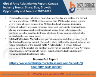 Global Fatty Acids Market