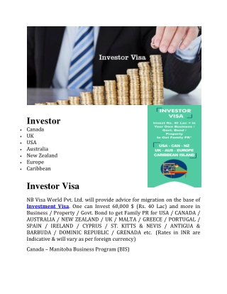 Investor visa