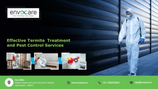 Effective Termite Treatment and Pest Control Services