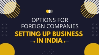 Options for foreign companies setting up business in India