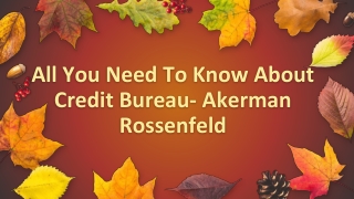 All You Need To Know About Credit Bureau- Akerman Rossenfeld