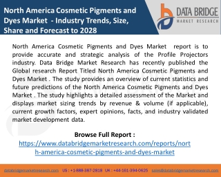 North America Cosmetic Pigments and Dyes Market