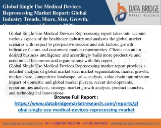 1. Global Single Use Medical Devices Reprocessin