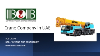 Crane Company in UAE