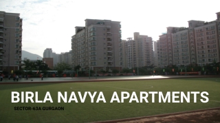 Navya Sec-63A