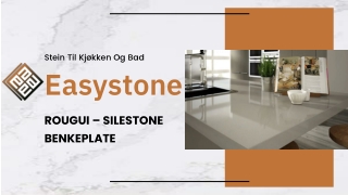 ROUGUI – SILESTONE BENKEPLATE