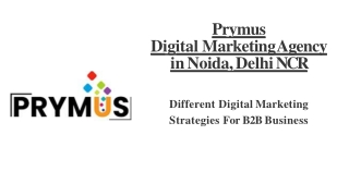 Different Digital Marketing Strategies For B2B Business