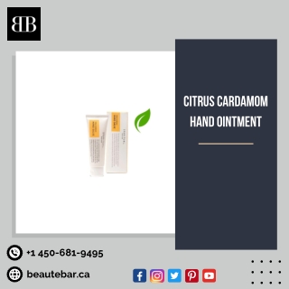 Shop Body Lotions Online at a Competitive Price