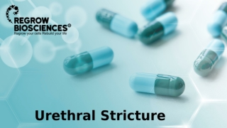 Brief Account of Urethral Stricture