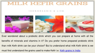 Buy Milk Kefir Grains