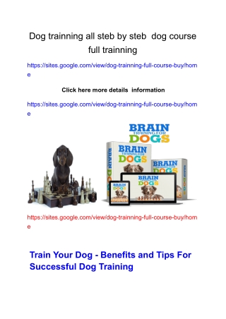 dog trainning course