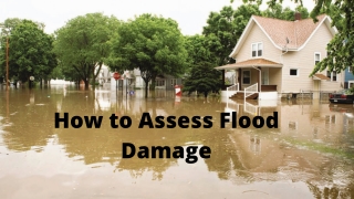 How to Assess Flood Damage