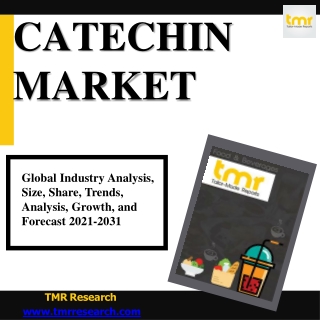 Catechin Market: Growth Dynamics & challenges