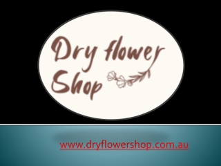 Online Store for Dried Flowers - www.dryflowershop.com.au