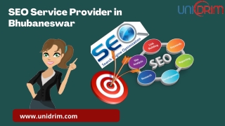 SEO Service Provider in Bhubaneswar