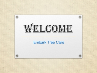 Specialist in Tree Removal in Rumney