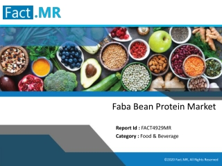 Faba Bean Protein Market - Fact.MR
