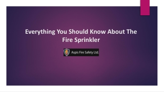Everything You Should Know About The Fire Sprinkler