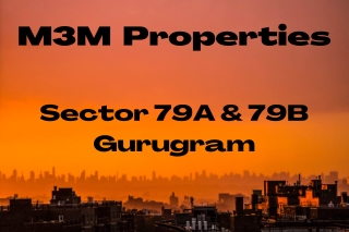 M3M Sector 79 Gurugram | The Most Efficient Space Planning