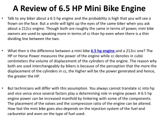 A Review of 6.5 HP Mini Bike Engine
