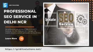 Professional Seo Service In Delhi Ncr