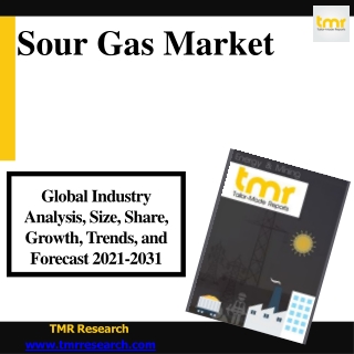 Sour Gas Market Research Report, Growth Trends and Competitive Analysis 2031