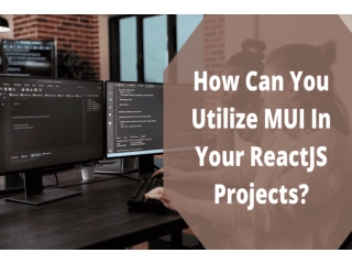 How Developers Can Utilize MUI In ReactJS Projects?