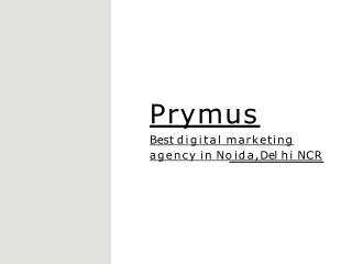 Prymus Best digital marketing agency in Noida, Delhi NCR